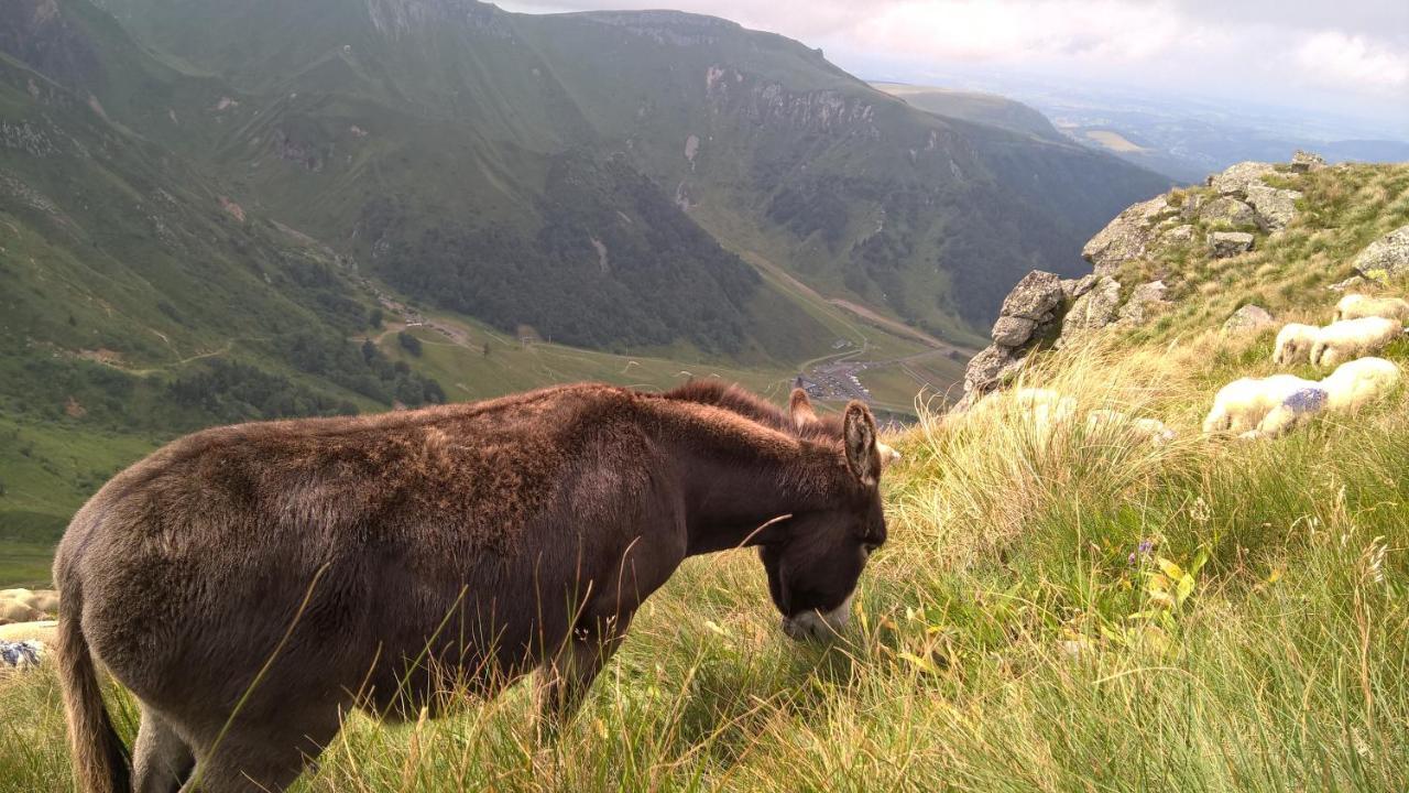 Camping Les Vernieres La Bourboule Sancy Екстериор снимка